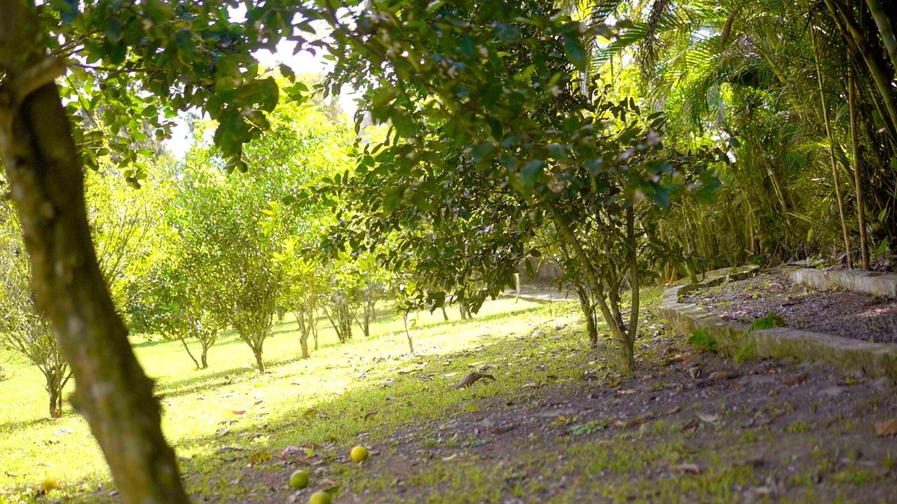 Pousada Bem Viver Hotel Ubatuba Eksteriør billede